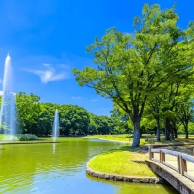 Taman Yoyogi Tokyo, Taman Indah yang Memiliki Perjalanan Sejarah dan Peristiwa Penting